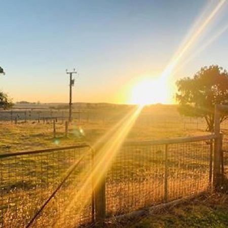 Pleasant Hill Bnb Mount Gambier Kültér fotó